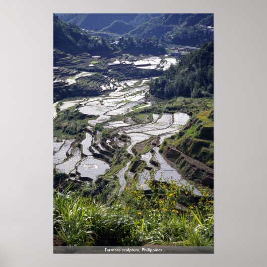 Terrassenskulptur, Philippinen Poster (Vorne)