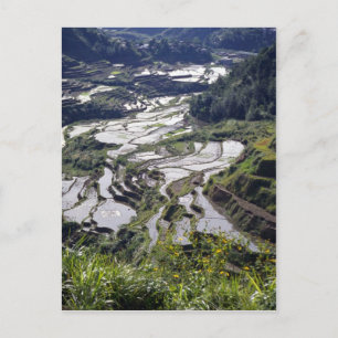 Terrassenskulptur, Philippinen Postkarte