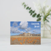 Terrebonne Pumpkins Postkarte (Stehend Vorderseite)