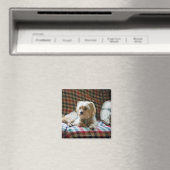 Terrier auf karierter Decke Magnet (In Situ (Geschirrspüler))