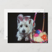Terrier Bunny - Postcard Postkarte (Vorne/Hinten)