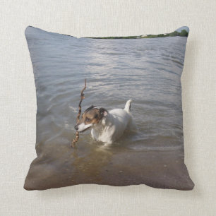 Terrier Capo von Oppenheim Jack Russell, Hund Kissen