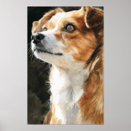 Terrier chihuahua mixed breed dog closeup poster