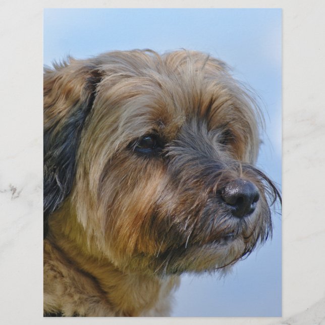 Terrier Design (Vorderseite)