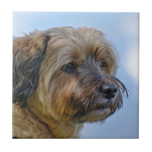 Terrier Design Fliese (Vorderseite)