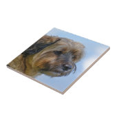 Terrier Design Fliese (Seite)