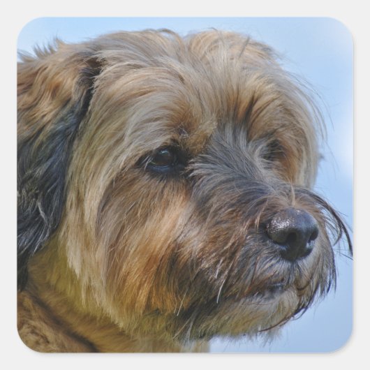 Terrier Design Quadratischer Aufkleber (Vorderseite)