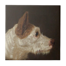 Terrier Dog's Head (von James Ward)