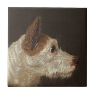 Terrier Dog's Head (von James Ward) Fliese