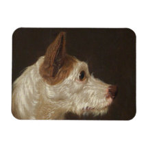 Terrier Dog's Head (von James Ward)