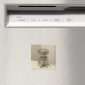 Terrier Hund mit Schutzkragen, nah Magnet (In Situ (Geschirrspüler))