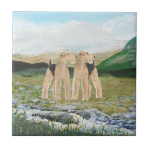 Terrier in Irland Fliese