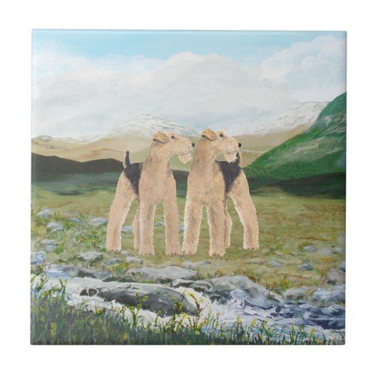 Terrier in Irland Fliese (Vorderseite)