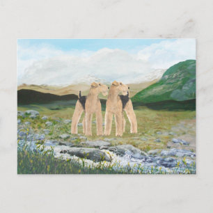 Terrier in Irland Postkarte