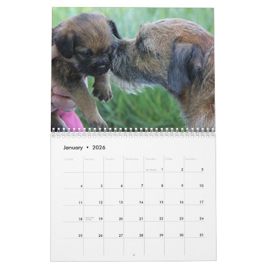 Terrier-Kalender der Grenze2013 Kalender (Jan 2026)