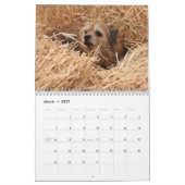 Terrier-Kalender der Grenze2013 Kalender (Mär 2027)
