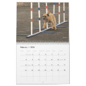 Terrier-Kalender der Grenze2014 Kalender (Feb 2026)
