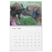 Terrier-Kalender der Grenze2014 Kalender (Jan 2026)