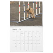 Terrier-Kalender der Grenze2014 Kalender (Feb 2027)