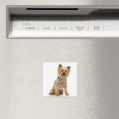 Terrier Magnet (In Situ (Geschirrspüler))
