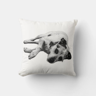 Terrier Mix Relaxter Pose Kissen