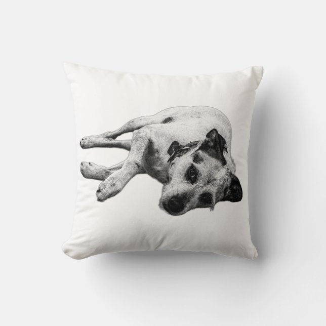 Terrier Mix Relaxter Pose Kissen (Vorderseite)