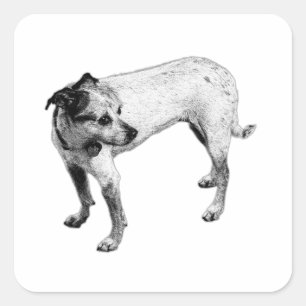 Terrier Mix Volltextaufkleber für Monochrome Quadratischer Aufkleber
