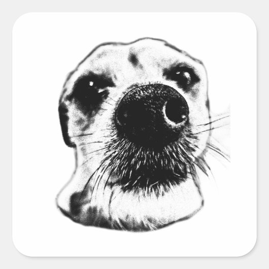 Terrier Nose Sticker – Up Close & Adorable (Vorderseite)