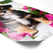 Terrier Puppy Satin Foto Erweiterung (Ecke)