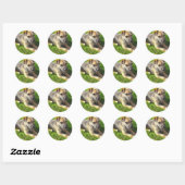 Terrier Puppy Sticker (Blatt)