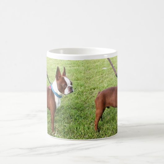 Terrier-Tasse Browns Boston Kaffeetasse (Mittel)