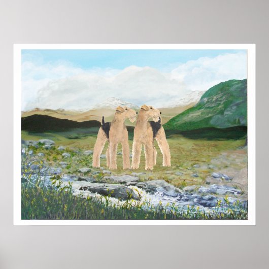 Terriers in Irland Poster (Vorne)