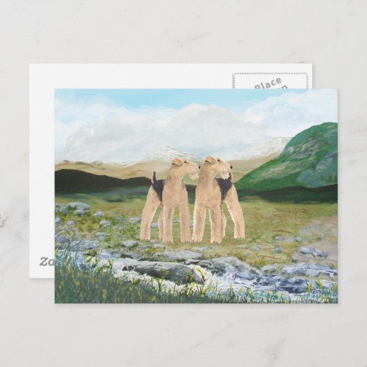 Terriers in Irland Postkarte (Vorne/Hinten)