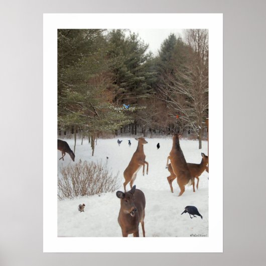 Terriroty LeeMarie Foto Art Poster (Vorne)