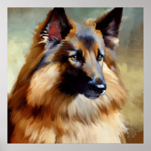 Tervuren Belgium Shepherd Dog Poster