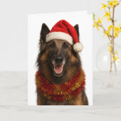 Tervuren mit Santa-Mütze Weihnachtskarte Karte (Gelbe Blume)