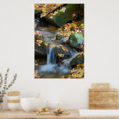 Teskawata Falls Poster (Küche)