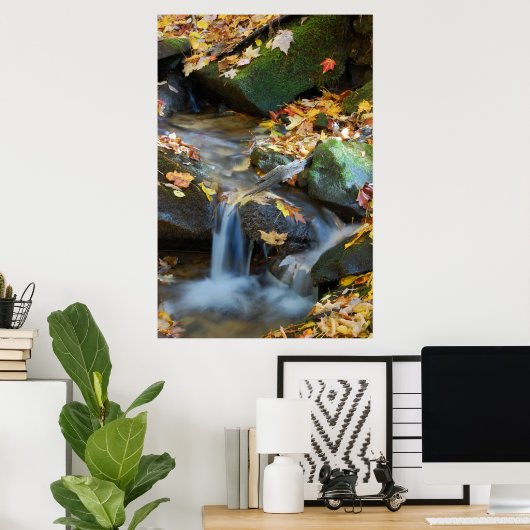 Teskawata Falls Poster (Heimbüro)