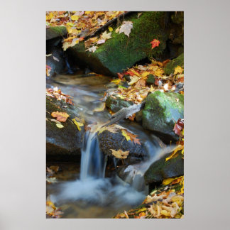 Teskawata Falls Poster