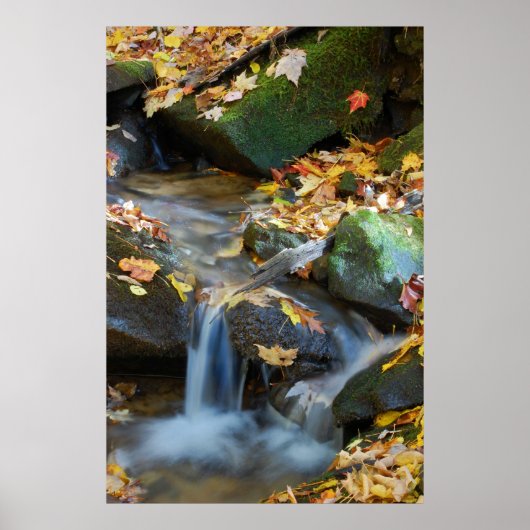 Teskawata Falls Poster (Vorne)