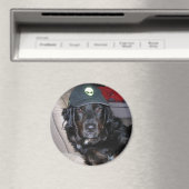 TESLA THE ALIEN DOG MAGNET (In Situ (Geschirrspüler))