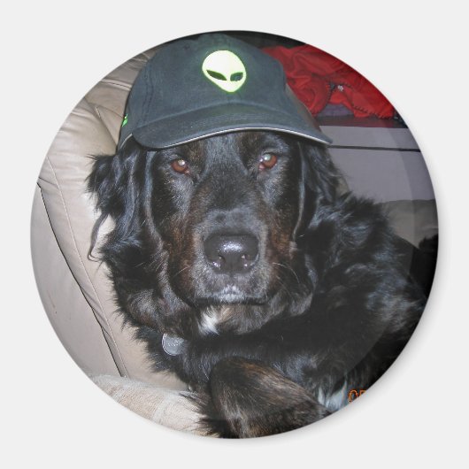 TESLA THE ALIEN DOG MAGNET (Vorne)