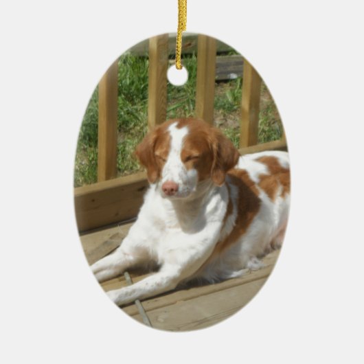 Tessa mein kleiner Welpe Keramik Ornament (Vorne)