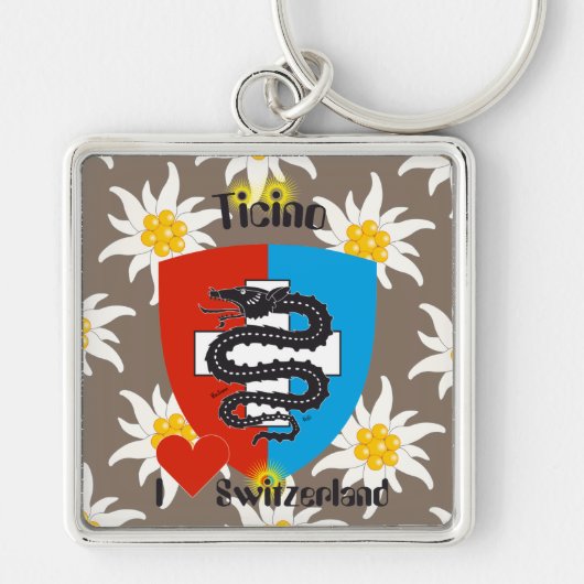 Tessin Kulturpass Schlüsselanhänger (Vorne)