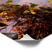 Tessin, Schweiz: Aussicht vom Monte Bre Poster (Ecke)