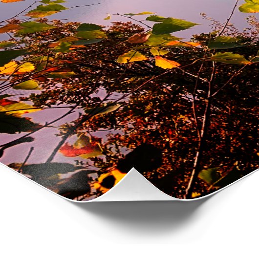 Tessin, Schweiz: Aussicht vom Monte Bre Poster (Ecke)