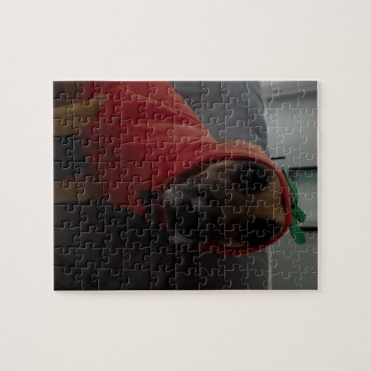 Test2 Puzzle (Horizontal)