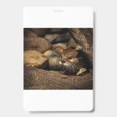 Test Ausweis (Vorderseite)