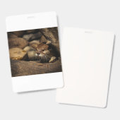 test ausweis (Vorder- & Rückseite)