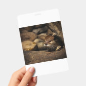 test ausweis (Handheld)